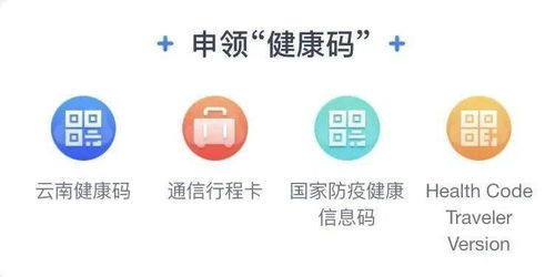 云南疫情防控服务升级 一键查询疫情风险等级、轨迹追踪及疫苗接种信息