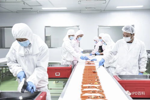 IPD在食品行业的深度应用与技术咨询赋能之道