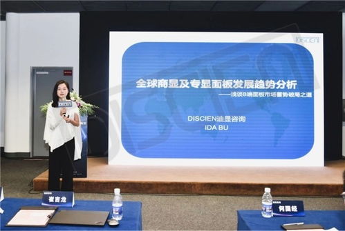 2023第二届创新研讨会圆满落幕 迪显咨询携手企业共探市场、应用与技术前沿